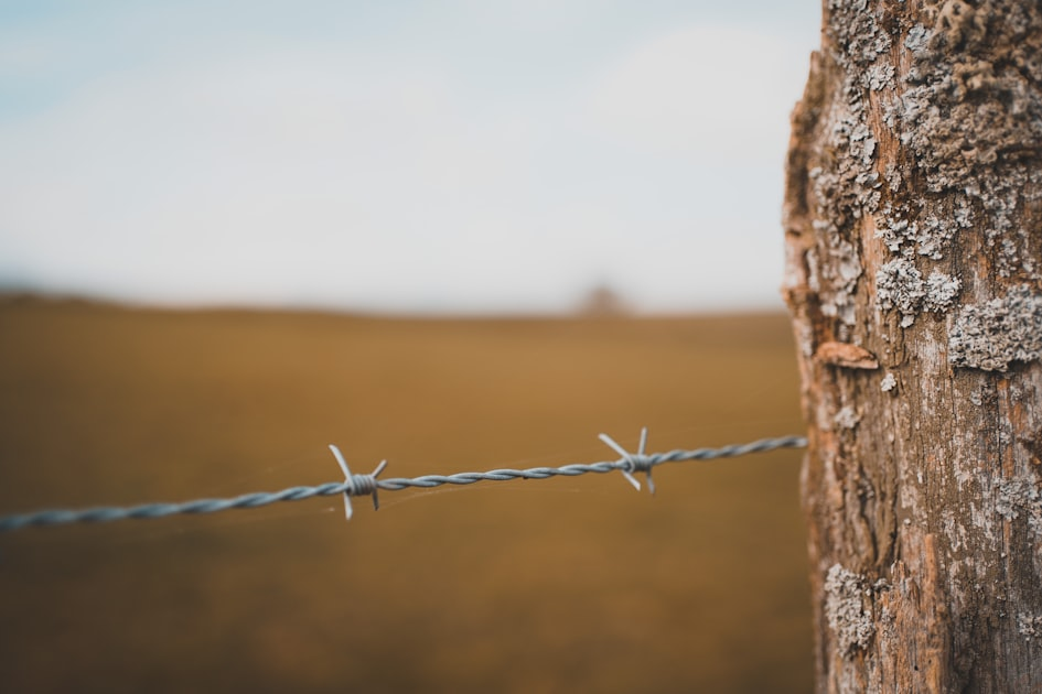 Choosing the Right Fencing for Your Farm